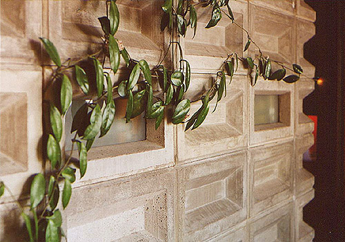 A house plant climbs the concrete blocks and inset lighting in the dining room. Image courtesy of Douglas Steiner. 