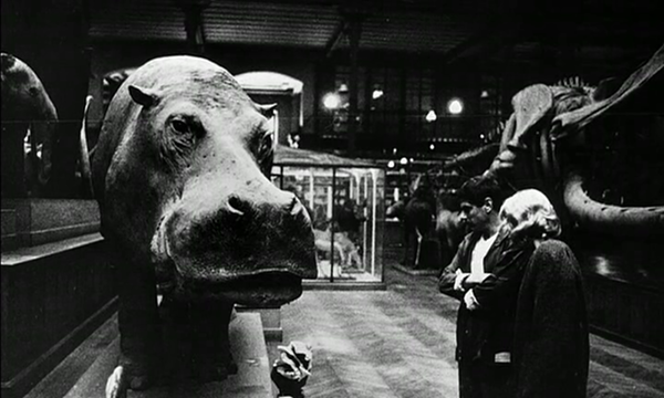La Jetée's nameless man and woman examine a hippopotamus. Image courtesy of Gravity Kat.