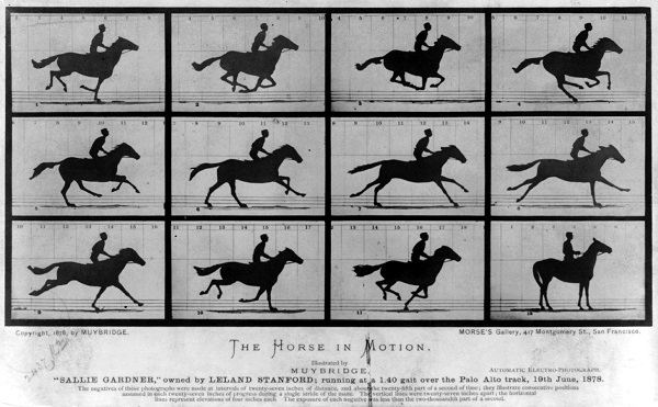 Eadweard Muybridge’s The Horse in Motion, 1878. Image courtesy of the Library of Congress Prints & Photographs Division. 